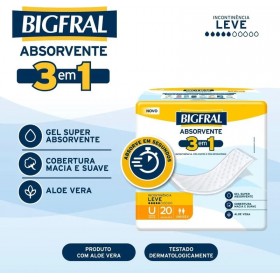 BIGFRAL ABSORVENTES C/20