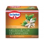 CHA OETKER MELISSA FLOR LARAN 10G C/10UN