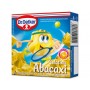 GELATINA OETKER ABACAXI 20G